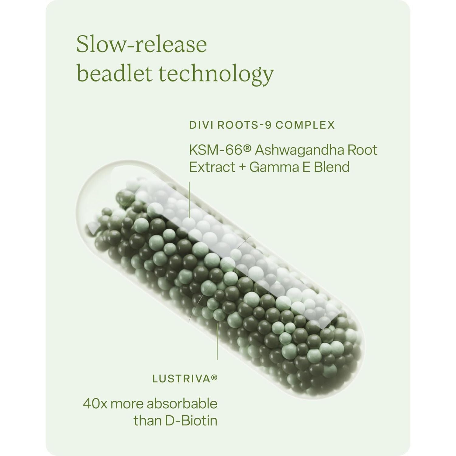 Divi Hair Vitamins – 120 Capsules | Strengthen Hair from the Inside Out | 30-Day Supply Hair Vitamins for Women and Men - Made with Clean and Science-Backed Ingredients to Grow + Thicken - Create a Healthy Hair Environment - 30 Day Supply, 120 Count