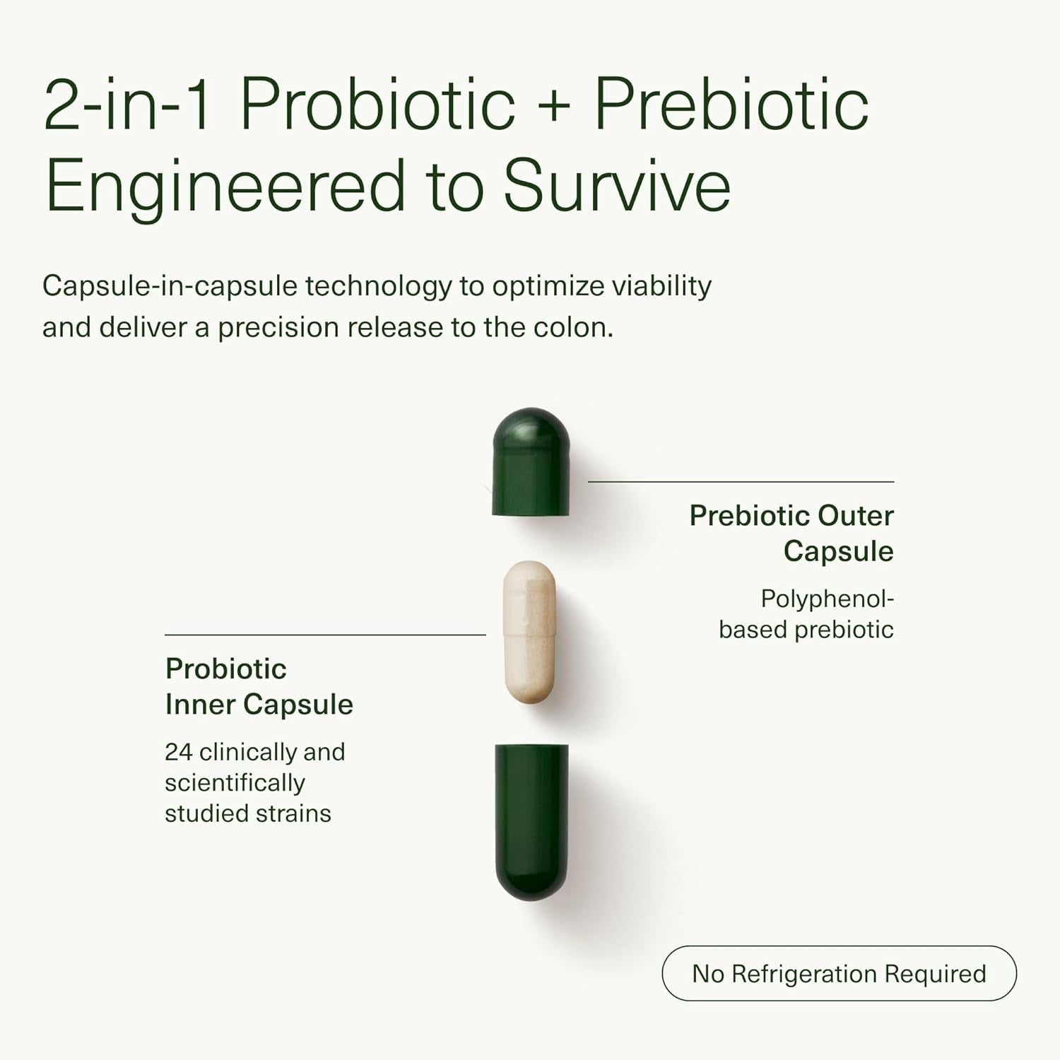 Seed DS-01® 14-Day Gut Reset – 28 Capsules | Rapid Gut Relief & Microbiome Support Seed DS-01® 14-Day Gut Reset – 28 Capsules | Rapid Gut Relief & Microbiome Support