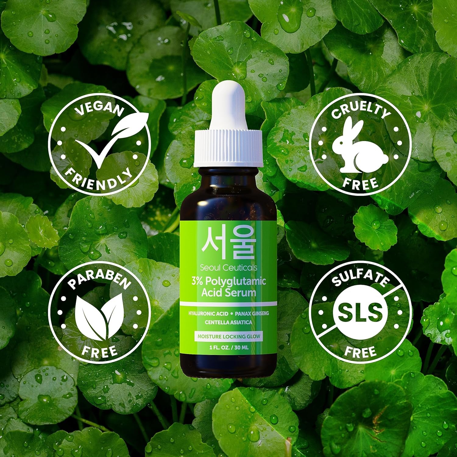SeoulCeuticals 3% Polyglutamic Acid Serum – 30ml | Intense Hydration, Firming & Anti-Aging Boost SeoulCeuticals 3% Polyglutamic Acid Serum – 30ml | Intense Hydration, Firming & Anti-Aging Boost