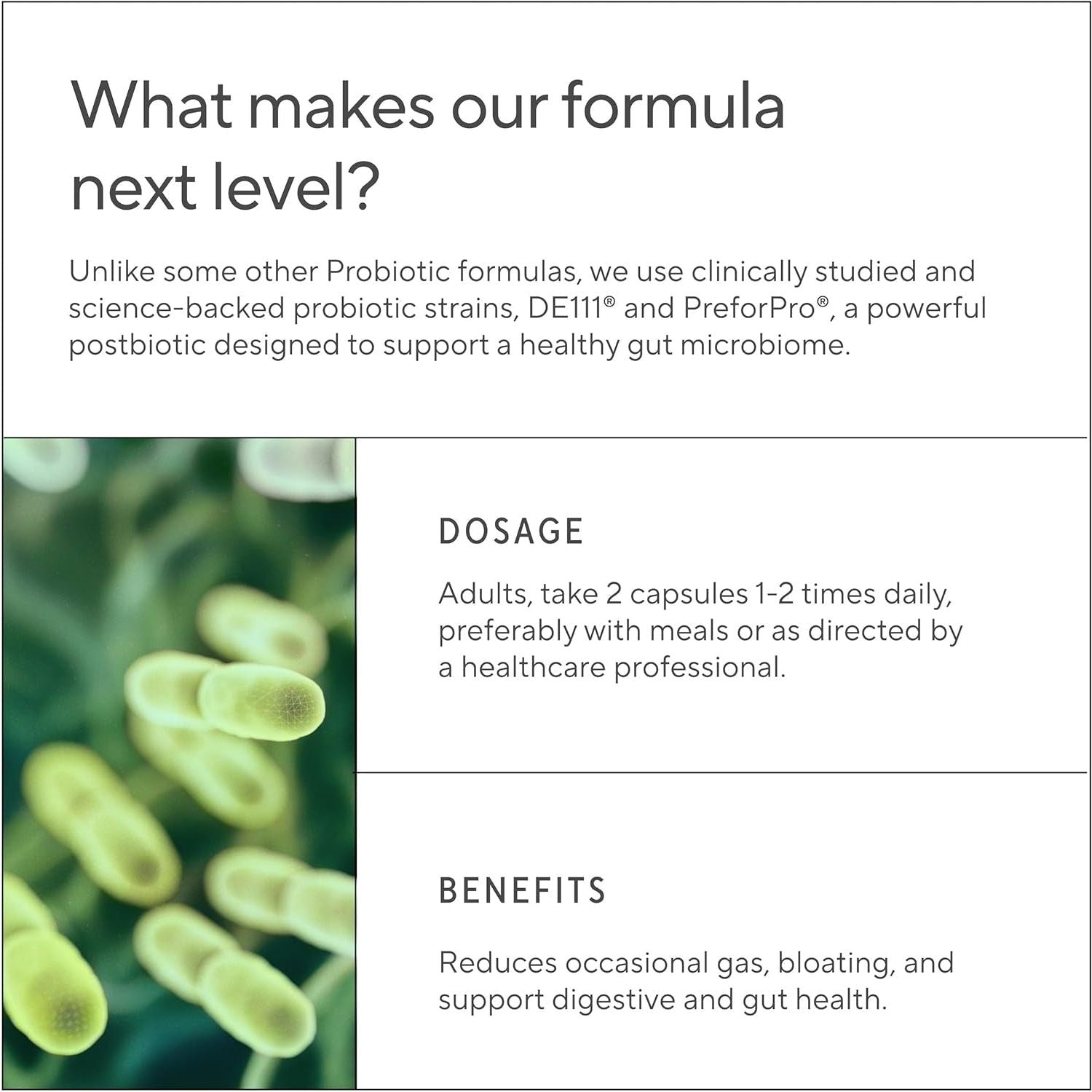 Sunergetic Pre+Pro+Post Probiotic with Digestive Enzymes – 60 Capsules | 4-in-1 Gut & Digestive Health Support Sunergetic Pre+Pro+Post Probiotic with Digestive Enzymes – 60 Capsules | 4-in-1 Gut & Digestive Health Support
