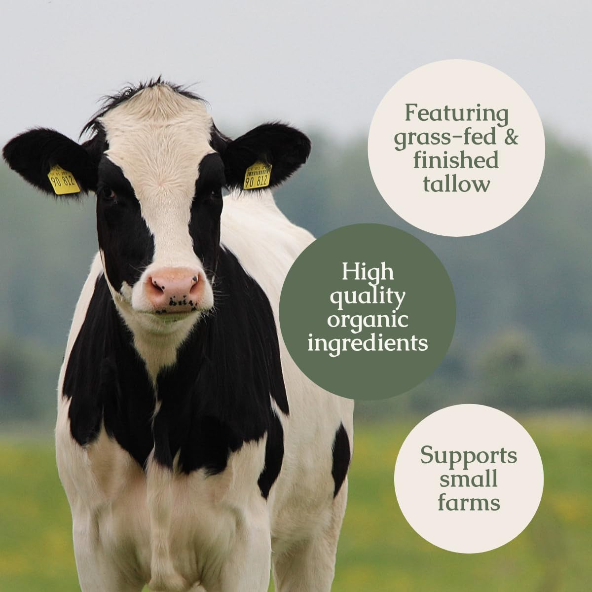 Hearth & Homestead Whipped Tallow Balm (Blue Outback) – 37g | Nourishing Australian Tallow with Emu & Sandalwood Oils Hearth & Homestead Whipped Tallow Balm (Blue Outback) – 37g | Nourishing Australian Tallow with Emu & Sandalwood Oils