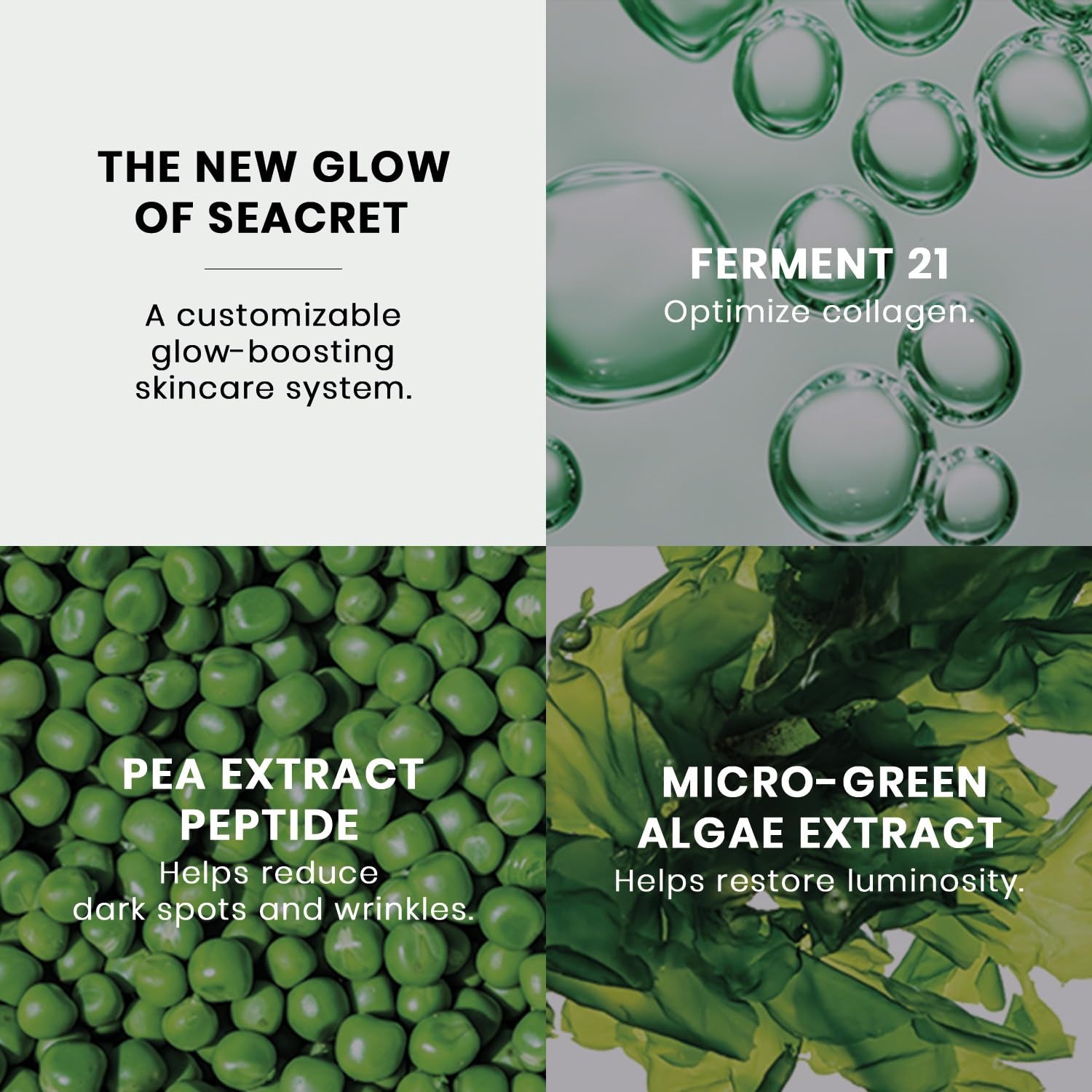 SEACRET MA Night Ampoule Serum – 30ml | Multi-Acid Overnight Glow Booster for Radiant, Youthful Skin SEACRET MA Night Ampoule Serum – 30ml | Multi-Acid Overnight Glow Booster for Radiant, Youthful Skin