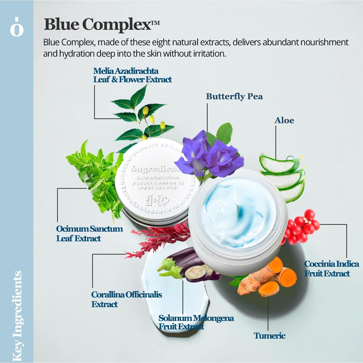 ONGREDIENTS Slow Aging Cream – 50ml | Butterfly Pea Flower Anti-Aging Moisturizer ONGREDIENTS Slow Aging Cream – 50ml | Butterfly Pea Flower Anti-Aging Moisturizer