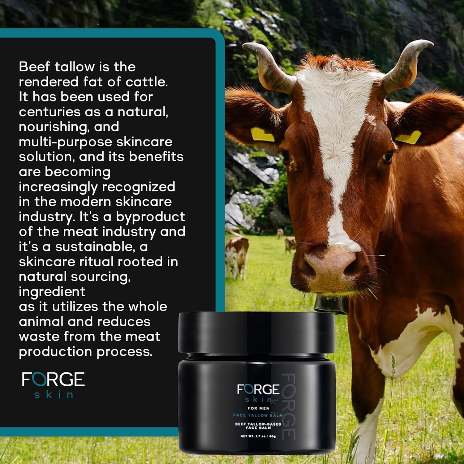 Forge Skin Face Tallow Balm for Men – 50g | Collagen-Infused Moisturiser for Hydration, Anti-Aging & Under-Eye Support Forge Skin Face Tallow Balm for Men – 50g | Collagen-Infused Moisturiser for Hydration, Anti-Aging & Under-Eye Support