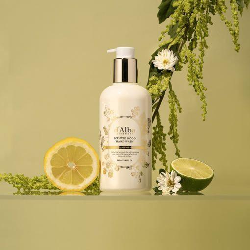 d'Alba Scented Mood Hand Wash – 290ml | Vegan Luxury Cleanser with Fresh Bergamot & Botanical Aroma d'Alba Scented Mood Hand Wash 290ml - Glam Global UKd'Alba