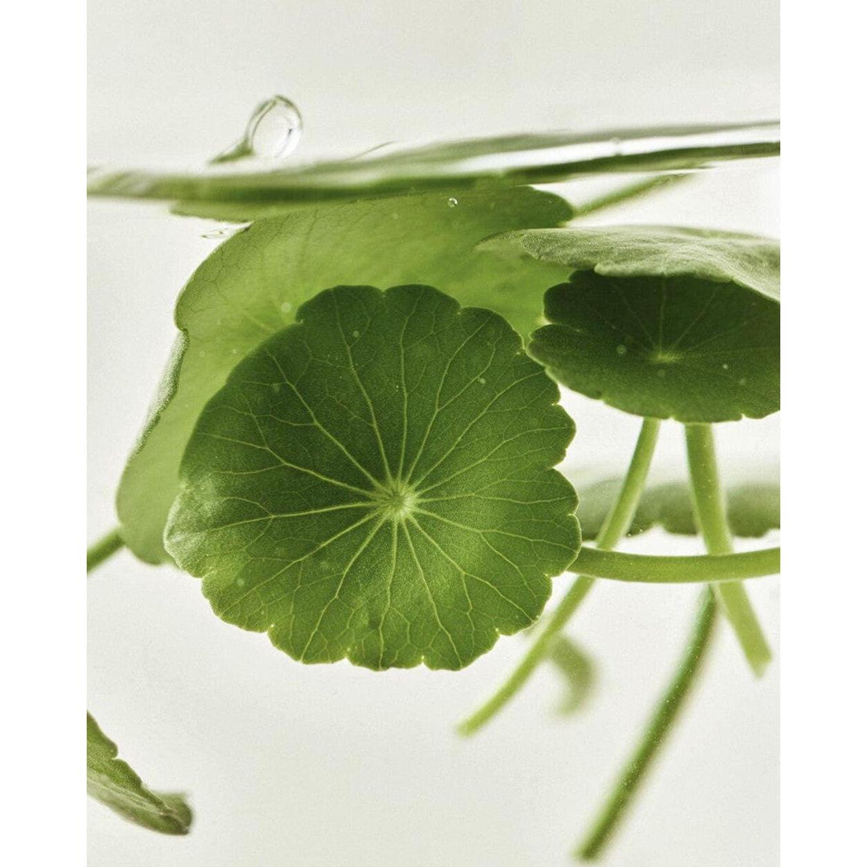 Beauty of Joseon Centella Asiatica Calming Mask – 25ml x 10 Count | Intensive Hydration & Soothing Care Product image
