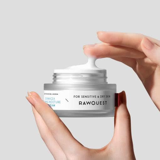 RAWQUEST Echinacea Calming Moisture Gel Cream – 50ml | Hydrating & Soothing Gel Moisturizer Product image