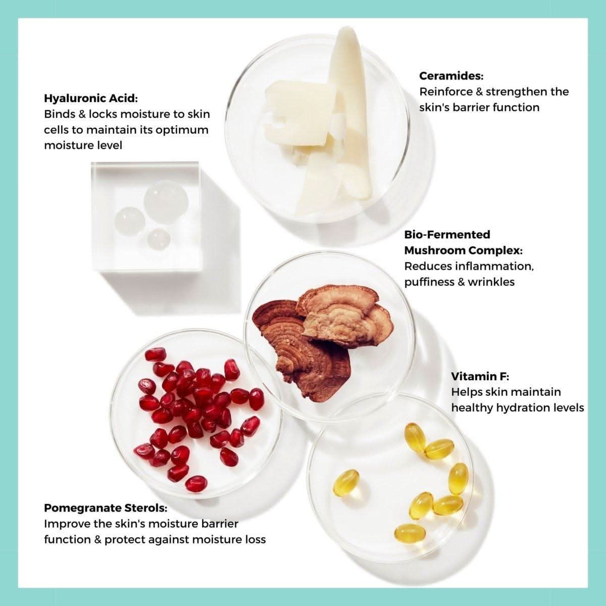 BeautyStat Universal Pro-Bio Moisture Boost Cream – 50ml | Lightweight, Deep Hydration & Barrier Repair BeautyStat Universal Pro - Bio Moisture Boost Cream - 50ml - Glam Global UKBeautyStat