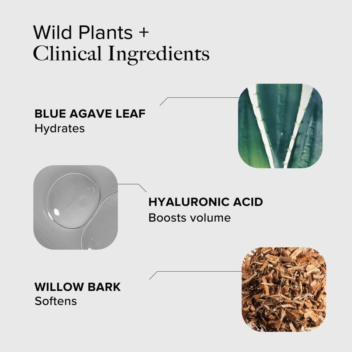 Alpyn Beauty Willow & Sweet Agave Lip Treatment | Hydration & Smoothing Care - 15ml Alpyn Beauty Willow & Sweet Agave Lip Treatment | Hydration & Smoothing Care - 15ml - Glam Global UKAlpyn Beauty