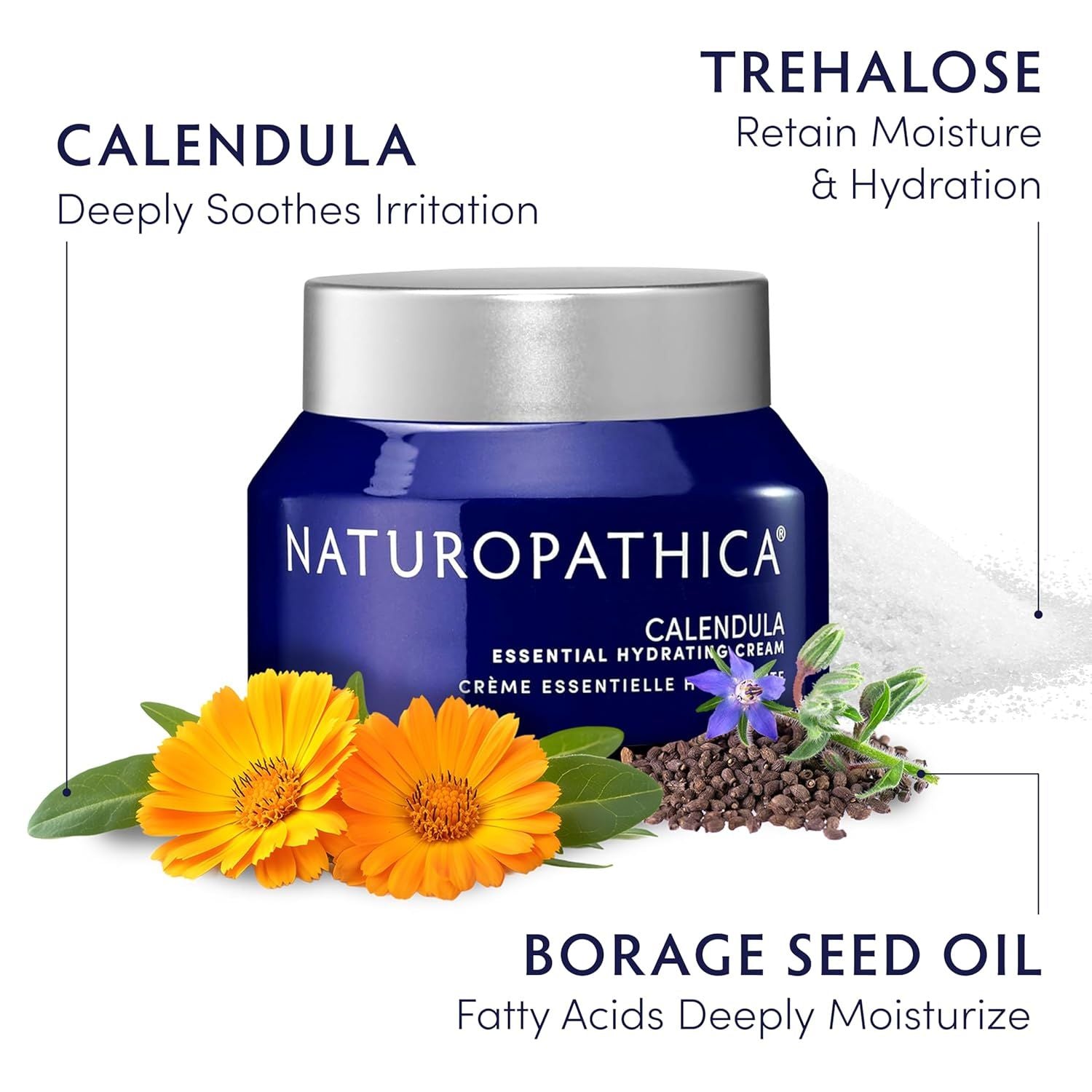 Naturopathica Calendula Essential Hydrating Cream – 50ml | Soothing & Nourishing Daily Moisturizer