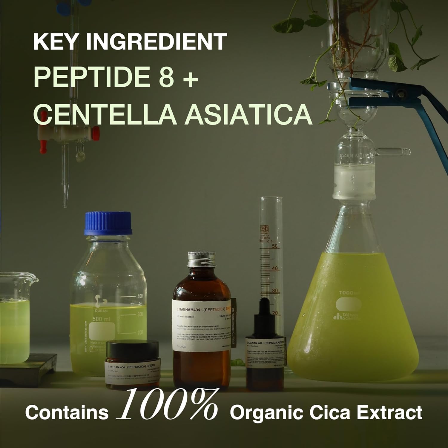 PEPTACICA Serum 1.01 Fl.Oz | 69.1% Centella Asiatica Extract – Moisturizing | Korean Skincare for Sensitive Skin