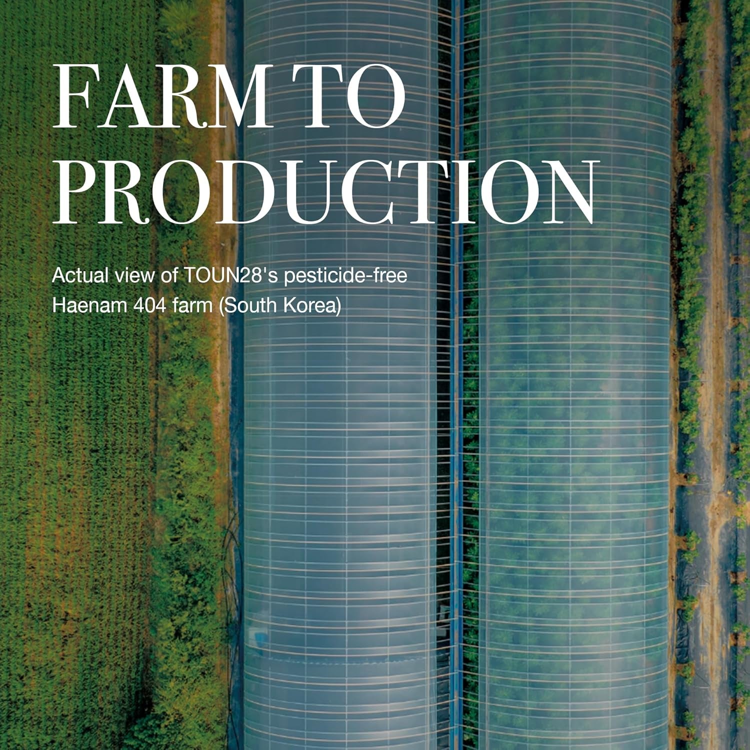 PEPTACICA Serum 1.01 Fl.Oz | 69.1% Centella Asiatica Extract – Moisturizing | Korean Skincare for Sensitive Skin