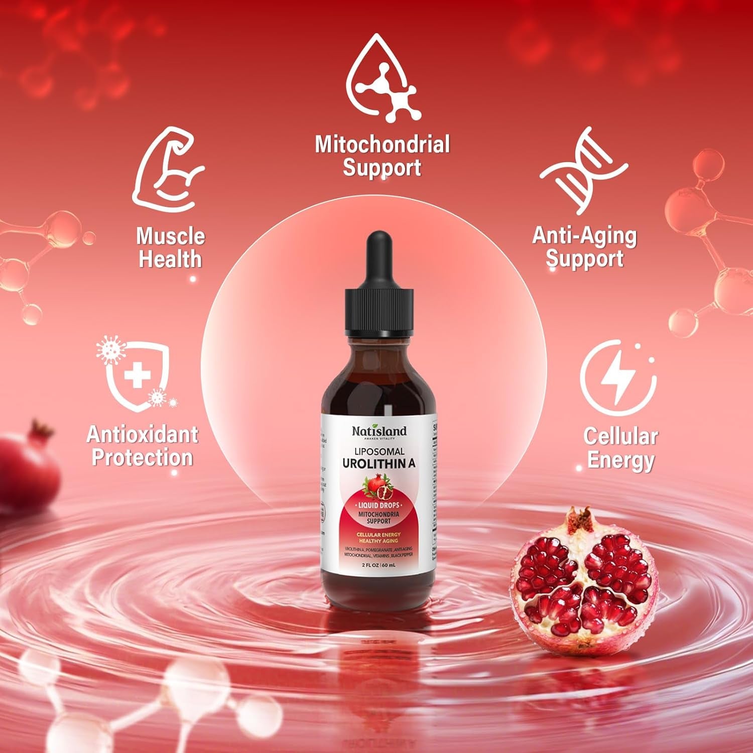 NATISLAND Liposomal Urolithin A Liquid Drops - 60ml