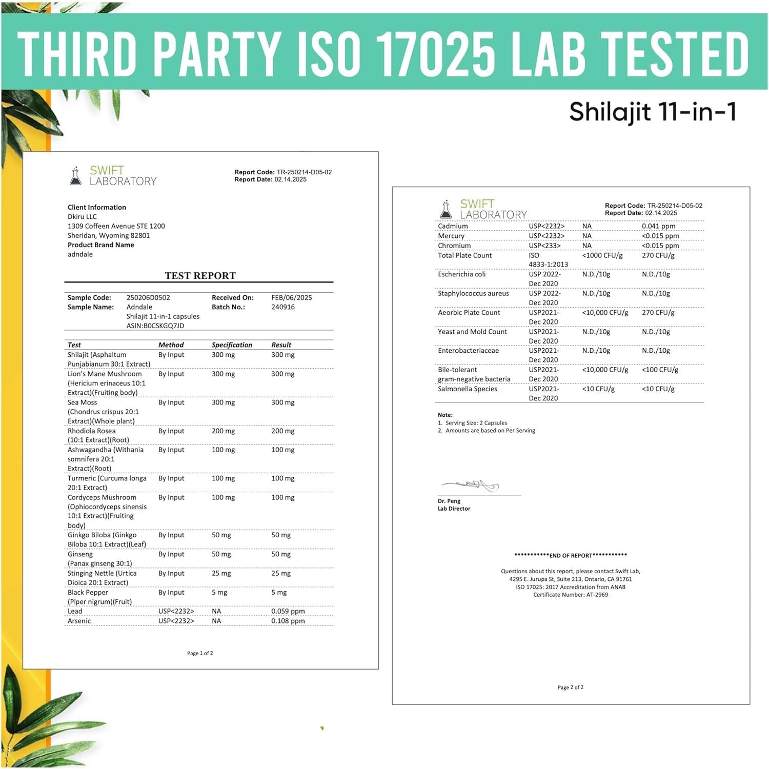 Adndale Shilajit 11-In-1 Supplement - 90 Capsules