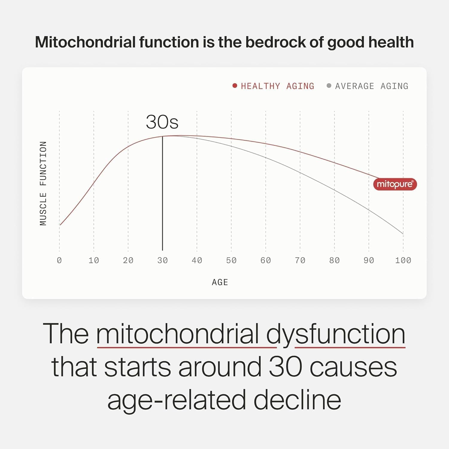 Mitopure Urolithin a - First Clinically Proven Supplement for Healthy Aging and Cellular Renewal - Mitoceutical for Muscle Strength and Longevity - 30 Sachets