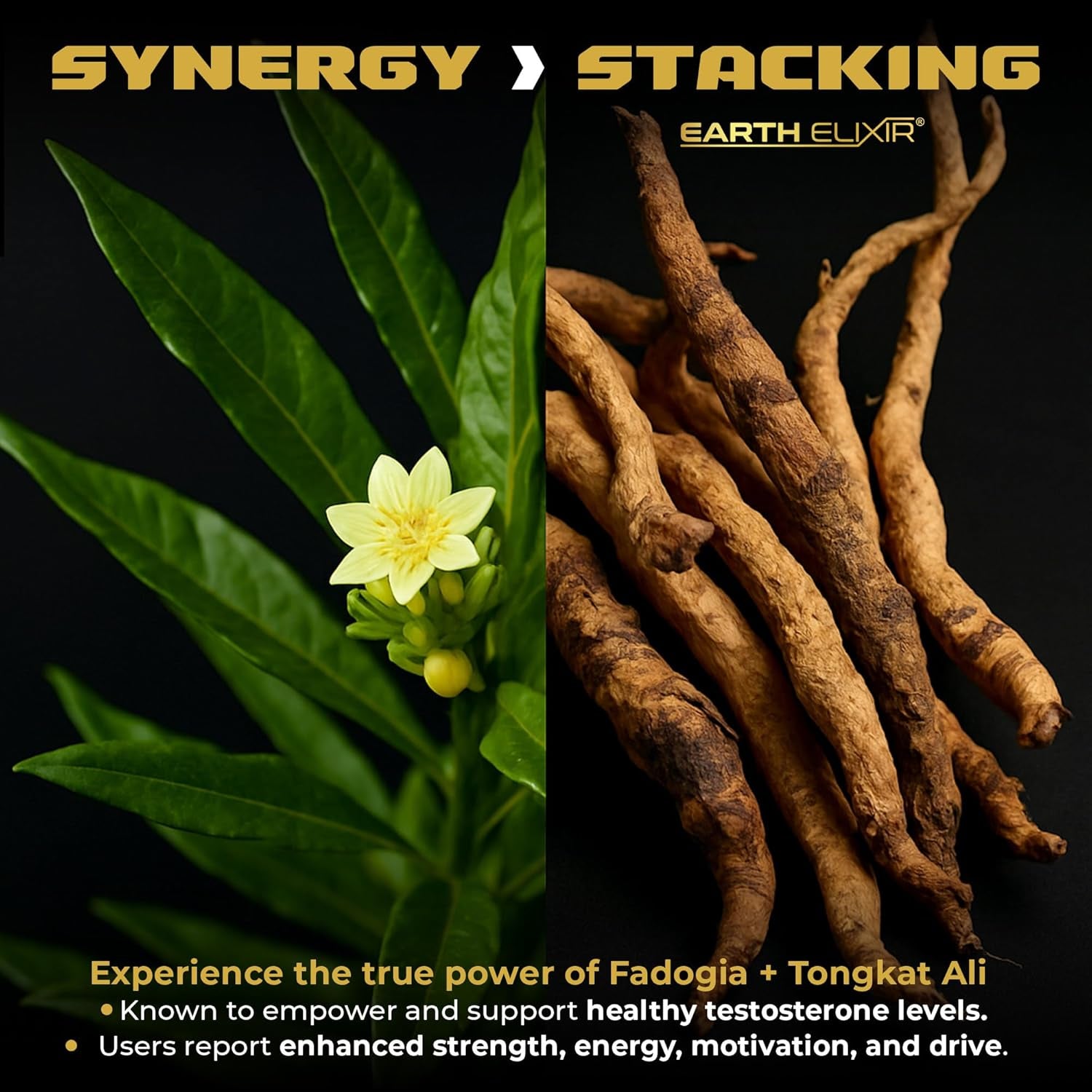 Fadogia Agrestis & Tongkat Ali for Men & Woman – Natural Testosterone Supplement for Men - Made in USA & 3Rd Party Tested – Strength, Energy & Vitality - Longjack – 3 Month Supply