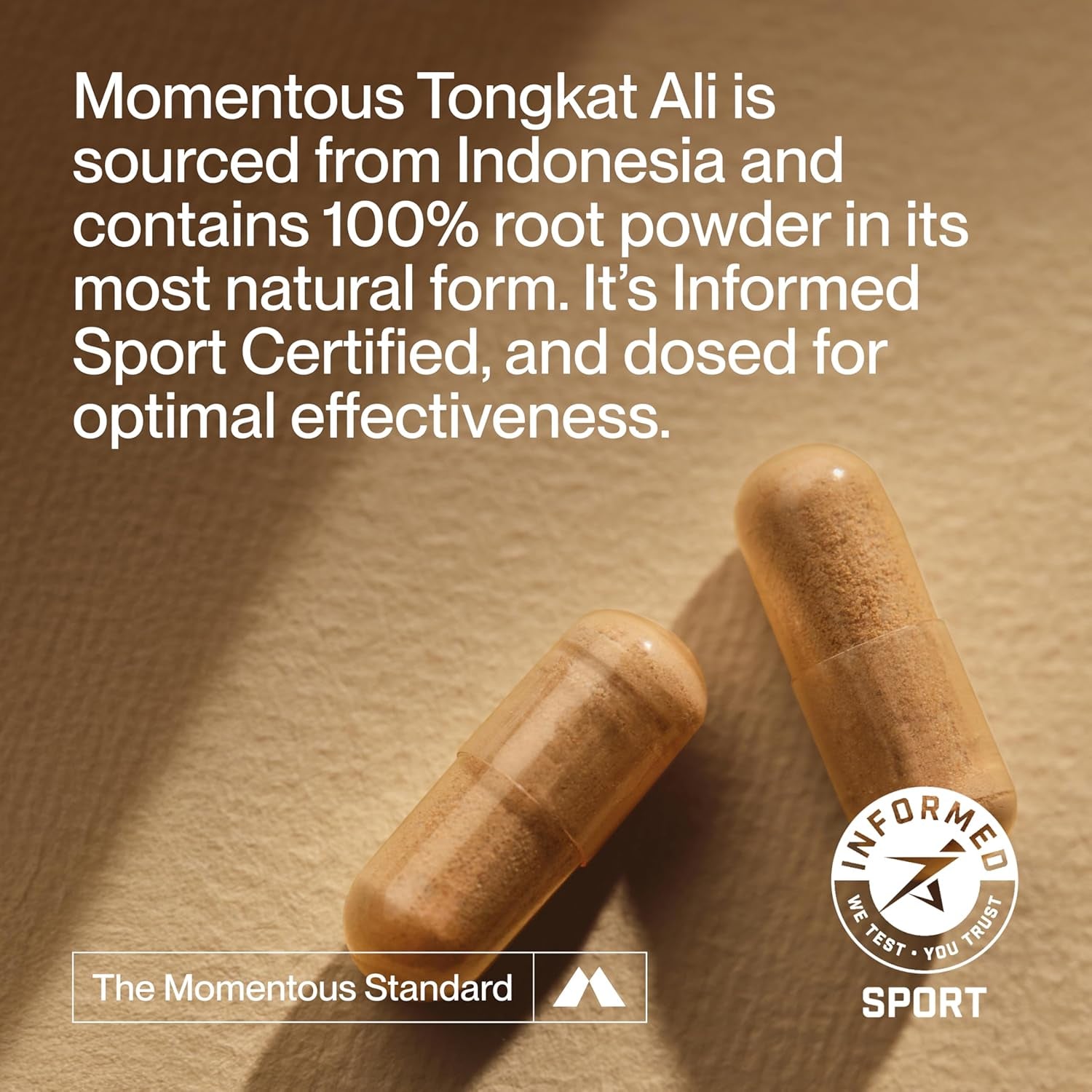 Tongkat Ali Supplement - Longjack Root Extract Powder for Men & Women - Supports Hormone Balance, Performance, & Mood - Natural Wellness - Informed Sport Certified - 400 Mg - 30 Servings