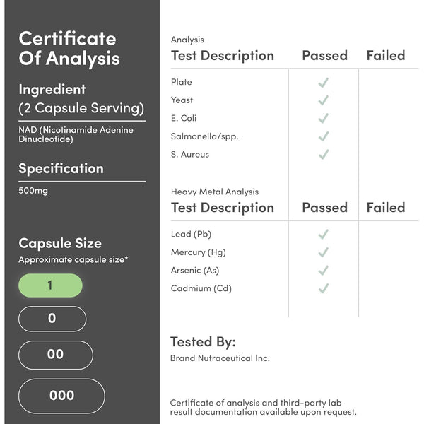 Double Wood Supplements NAD+ – 60 Capsules | Longevity & Cellular Energy Support