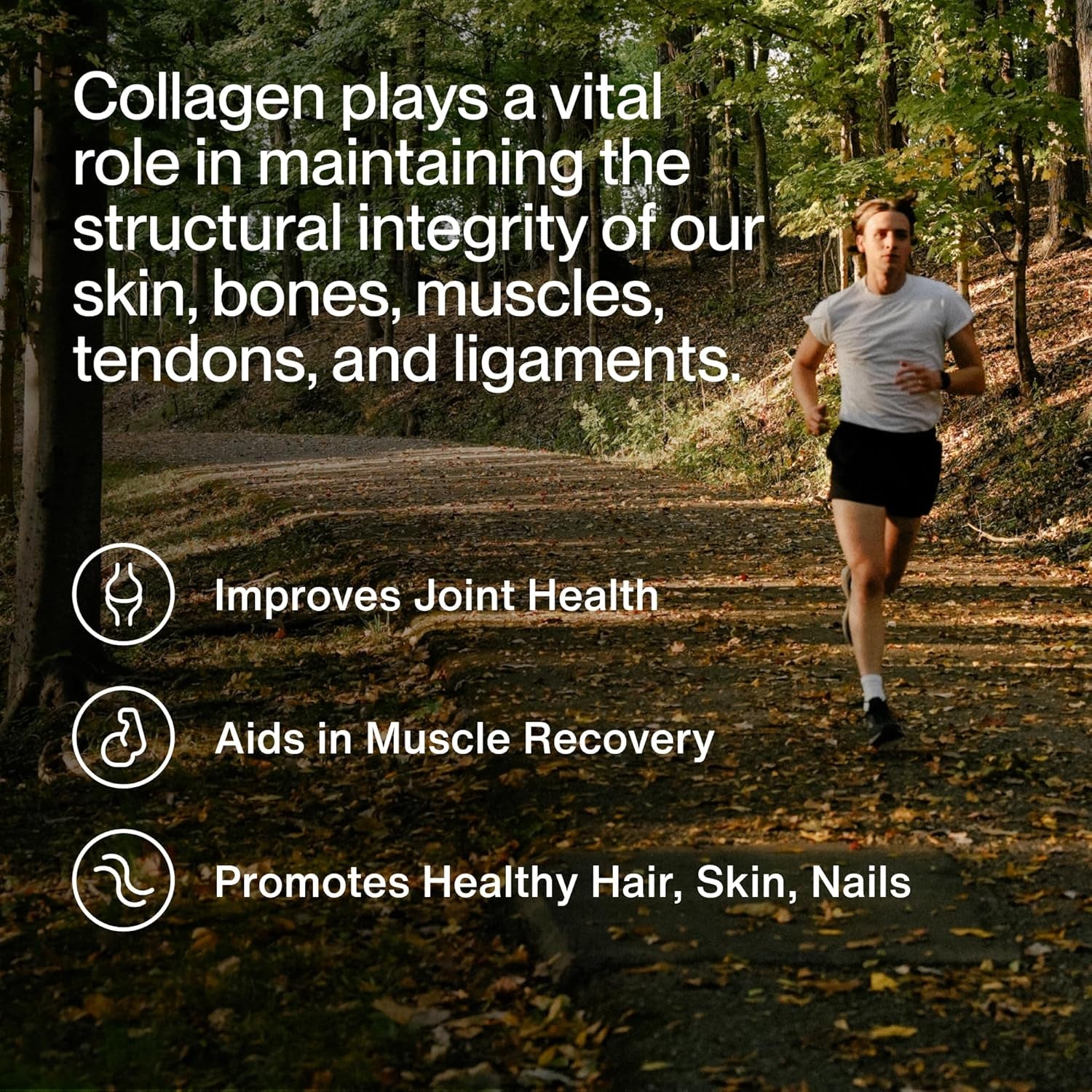 Momentous Collagen Peptides Powder - Joint & Bone Health Support - 507g
