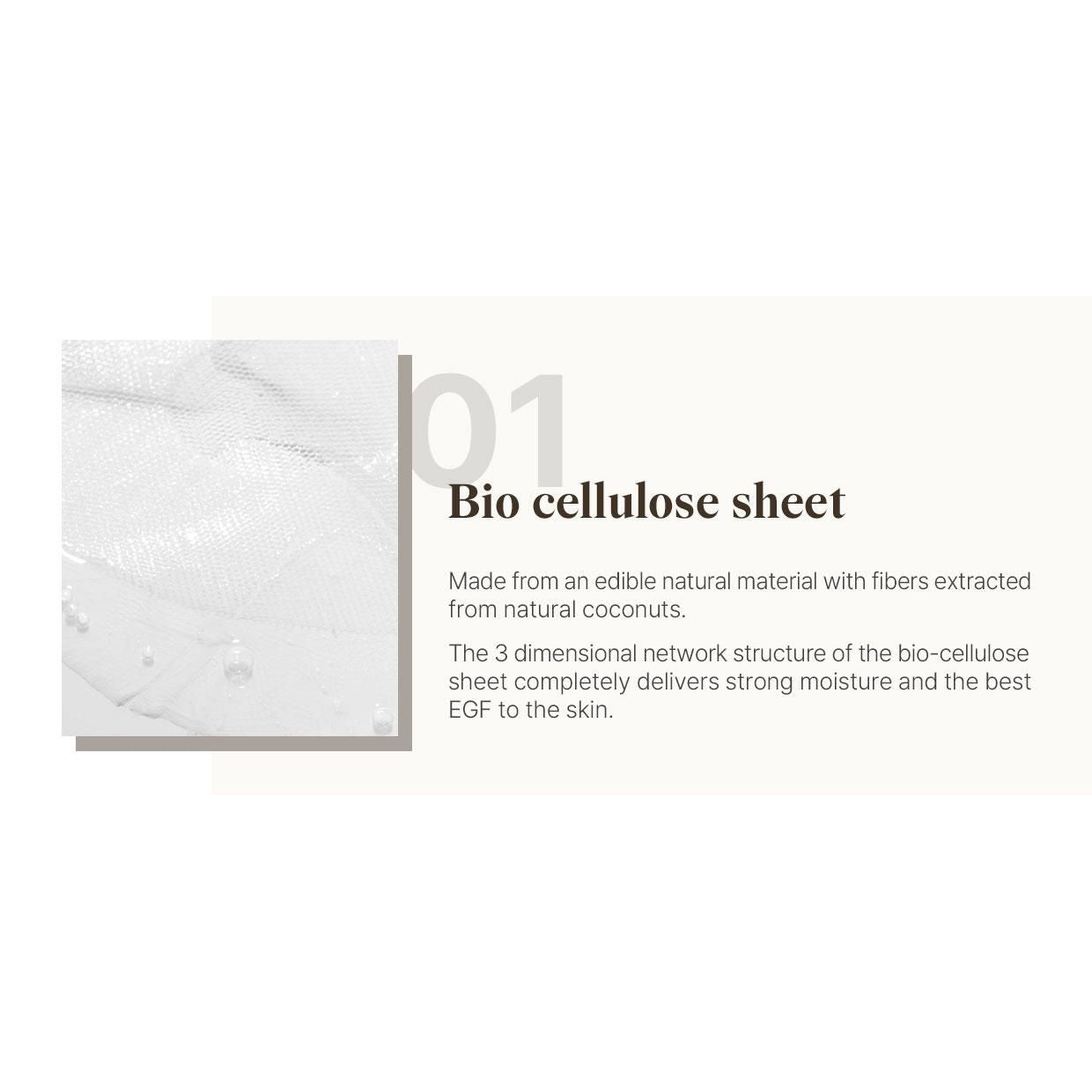 Reblocell Flossom Regenerating Facial Mask 1 Sheet-Regeneration