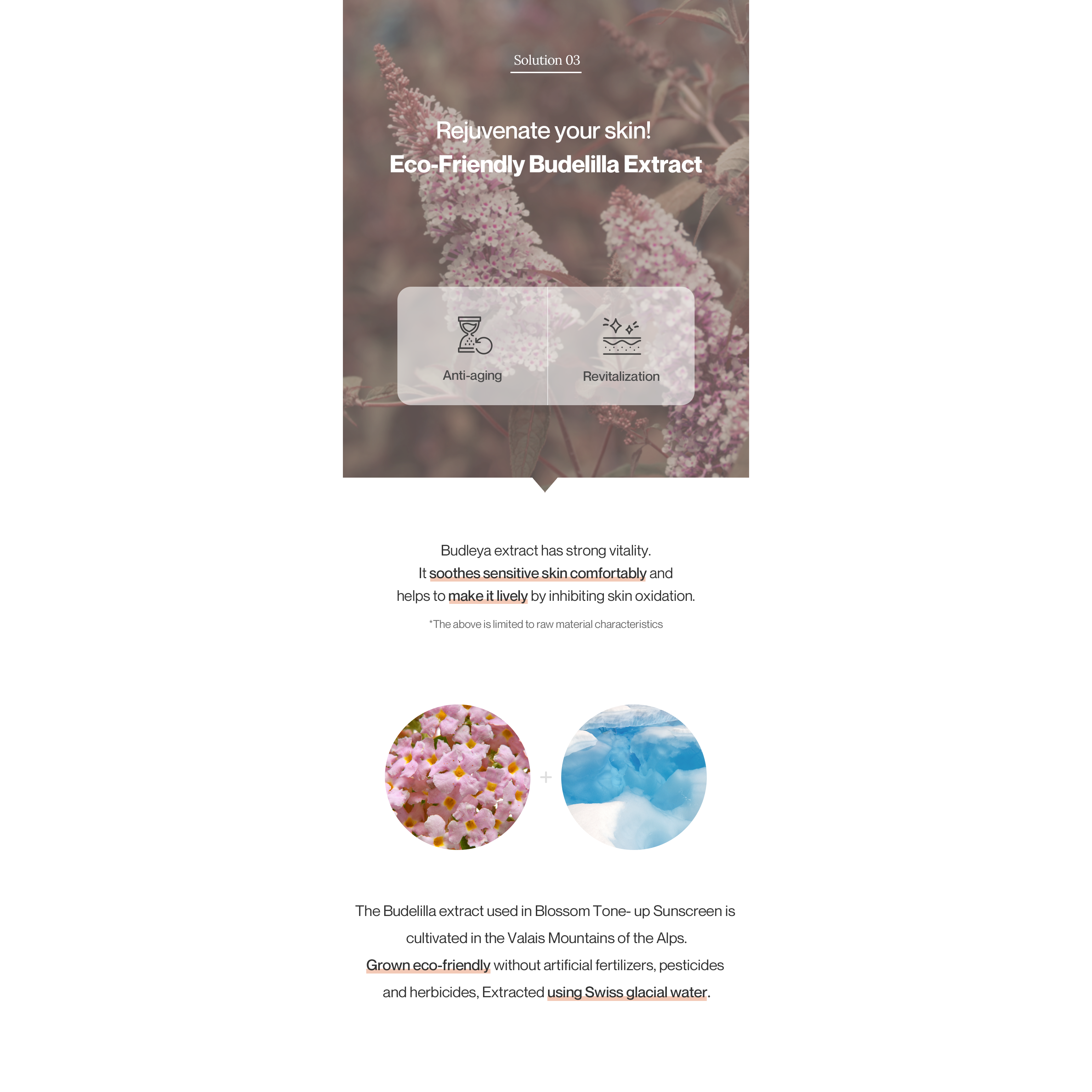 Reblocell Blossom Tone Up Sunscreen 30ml - Tone Up Glow