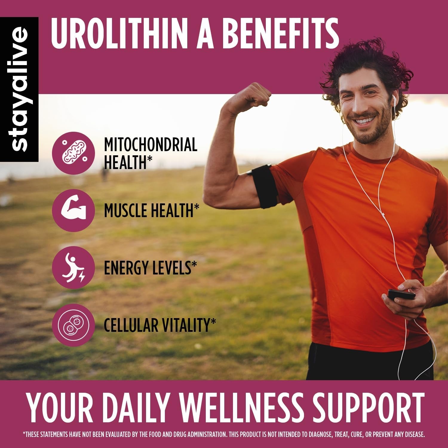 STAY ALIVE Urolithin A From Pomegranate Extract - 120 Capsules