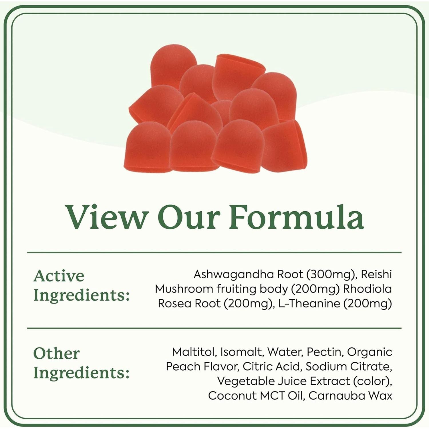 Plant People WonderCalm Mushroom Gummies – 60 Gummies | Stress Relief & Mood Support with Ashwagandha, Reishi & L-Theanine