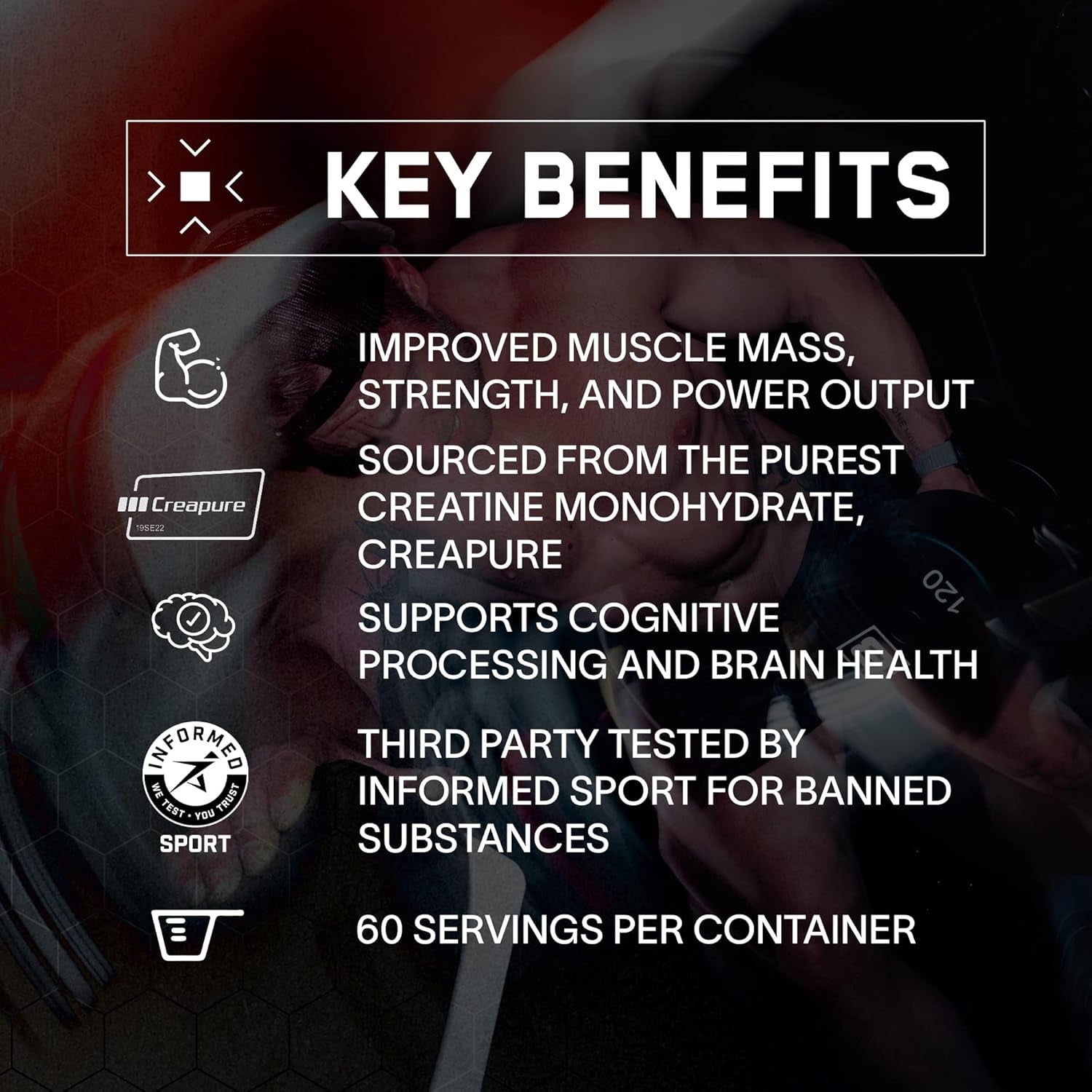 BARE PERFORMANCE NUTRITION Pure Creatine Monohydrate – 300g (60 Servings) | Creapure® | Unflavored Muscle-Building Powder