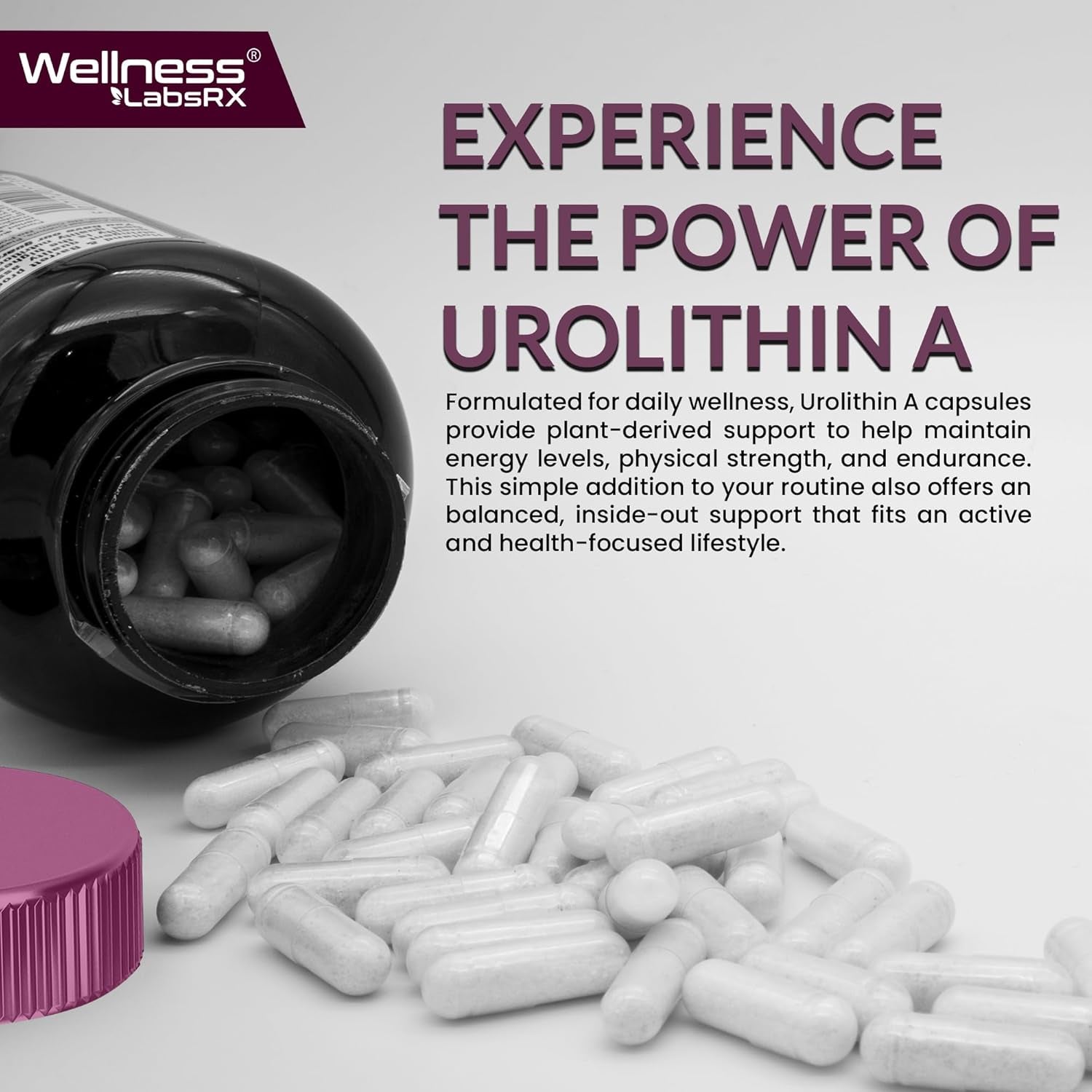 WELLNESS LABSRX Urolithin A 1000MG - 120 Capsules