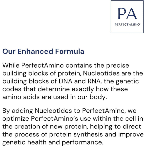 BodyHealth Gut Restore Enhanced with Perfect Amino™ – 49.68g | Advanced Gut Health & Digestion Support