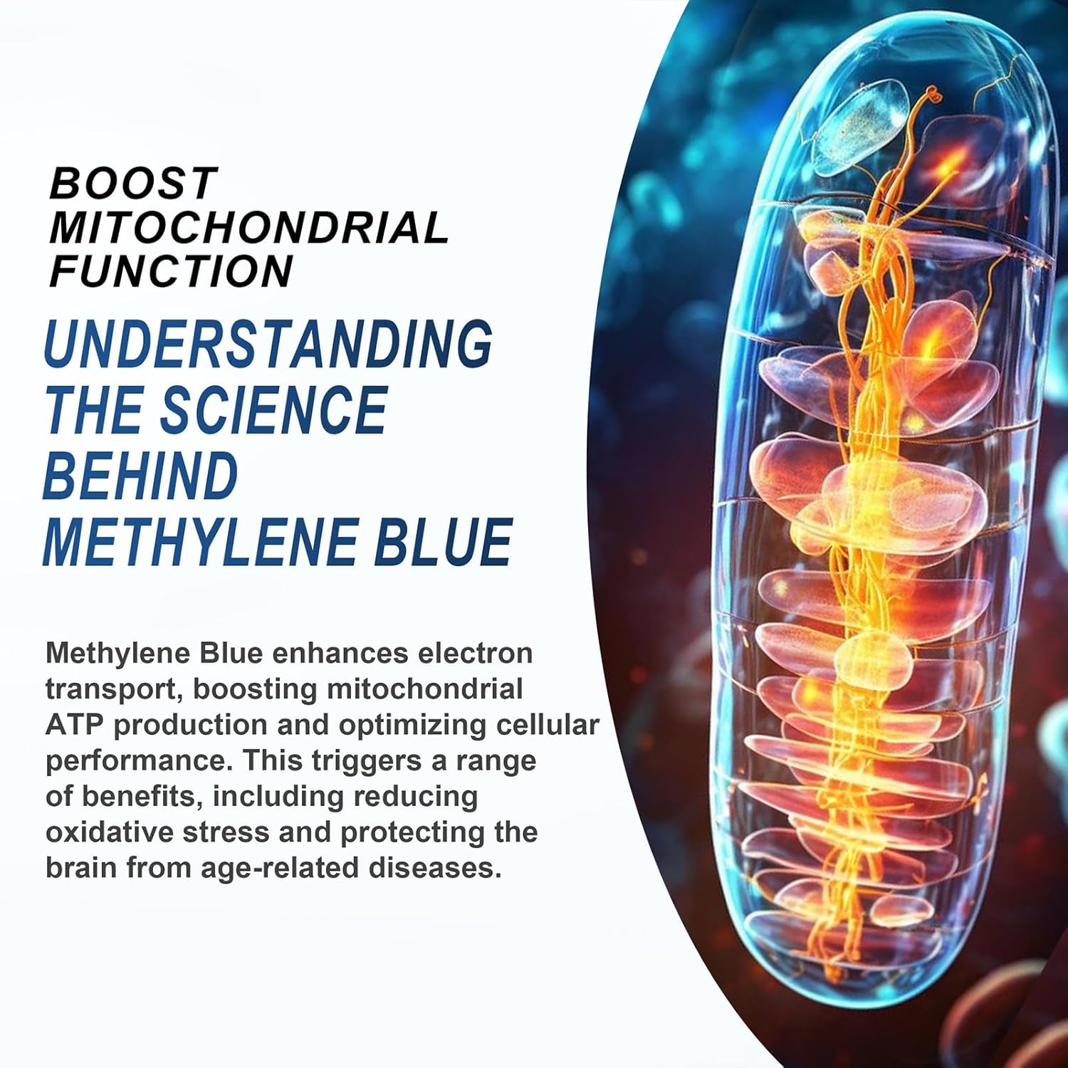 Memtropy Ultimate Methylene Blue 5% – 120ml | High-Potency Cellular Antioxidant & Mitochondrial Support
