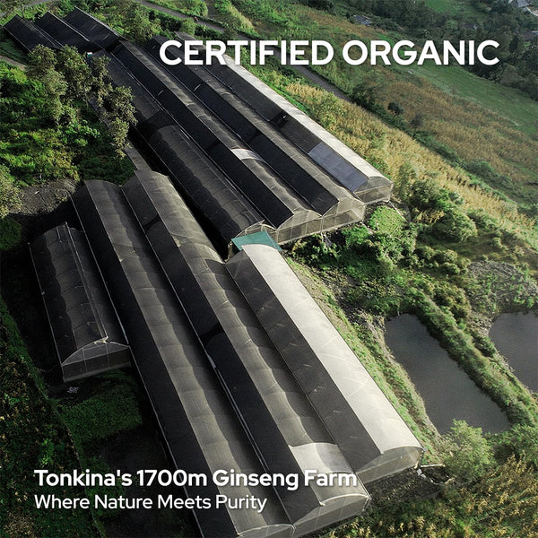 Tonkina Youth 1700 Serum – 30ml | Gentle Bakuchiol Retinol Alternative for Radiant, Youthful Skin