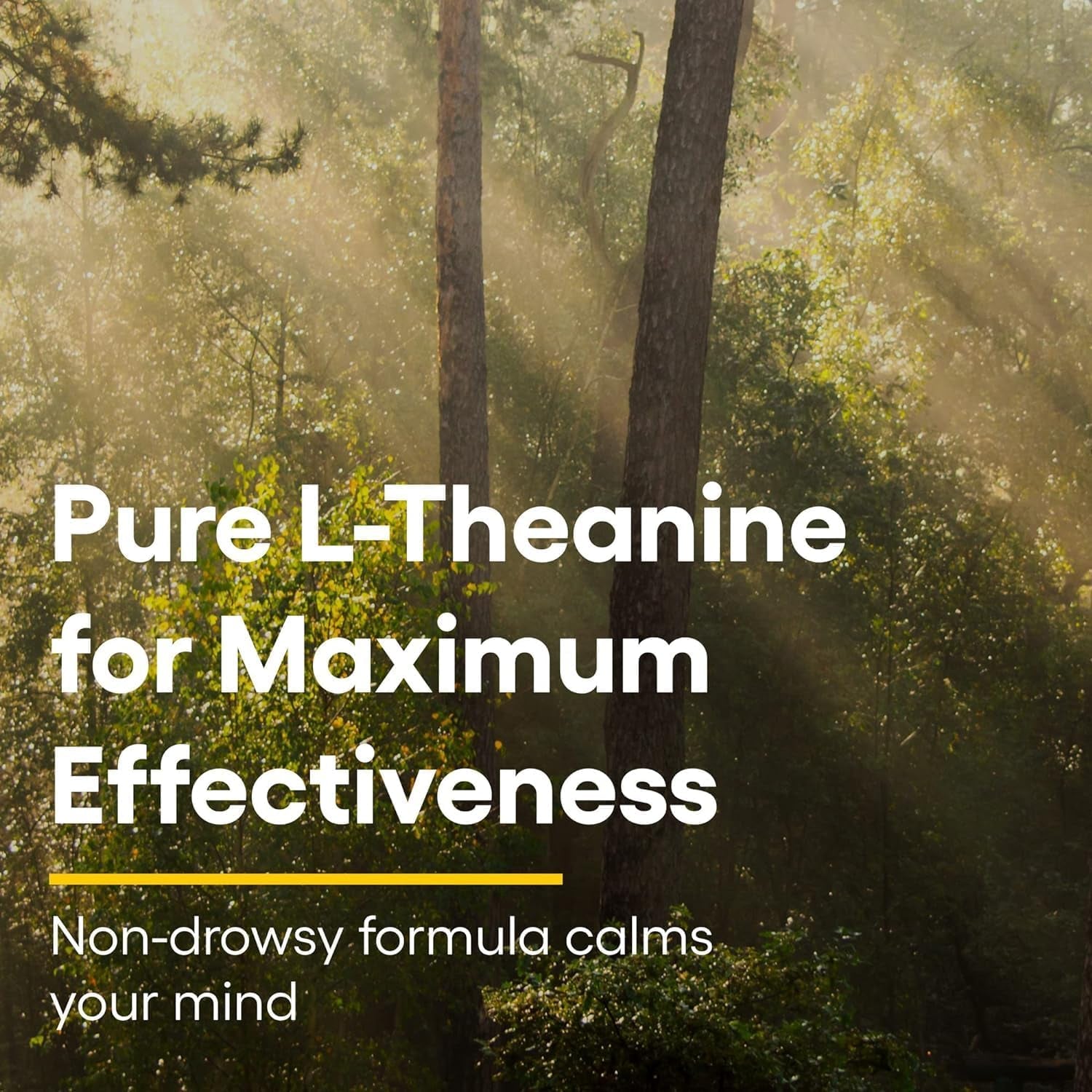 Natural Factors Stress-Relax Suntheanine L-Theanine 100mg – 60 Chewable Tablets | Fast-Acting Stress Relief & Calm Focus (Tropical Fruit Flavor)