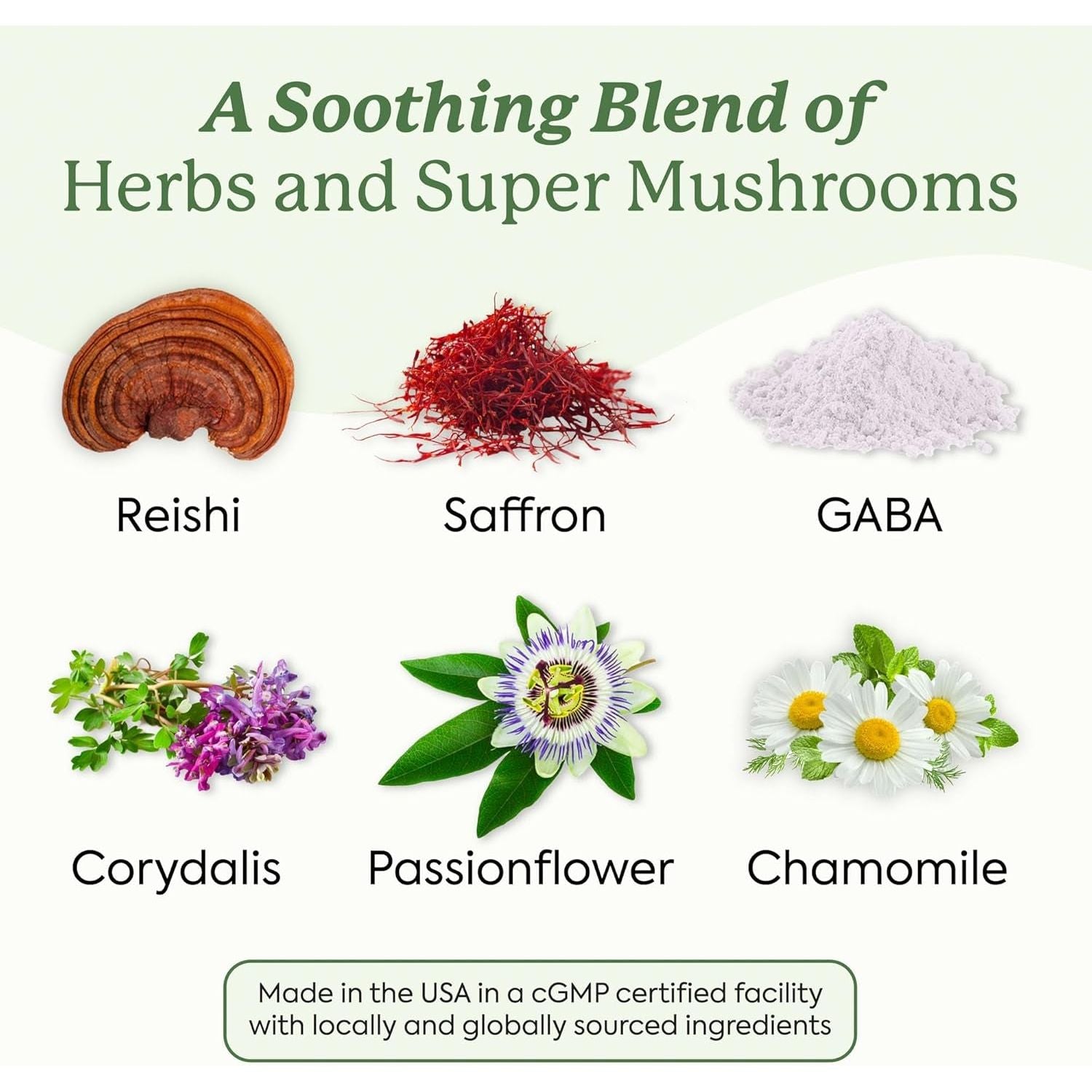 Plant People WonderSleep Mushroom Gummies – 60 Gummies | Melatonin-Free Sleep Support