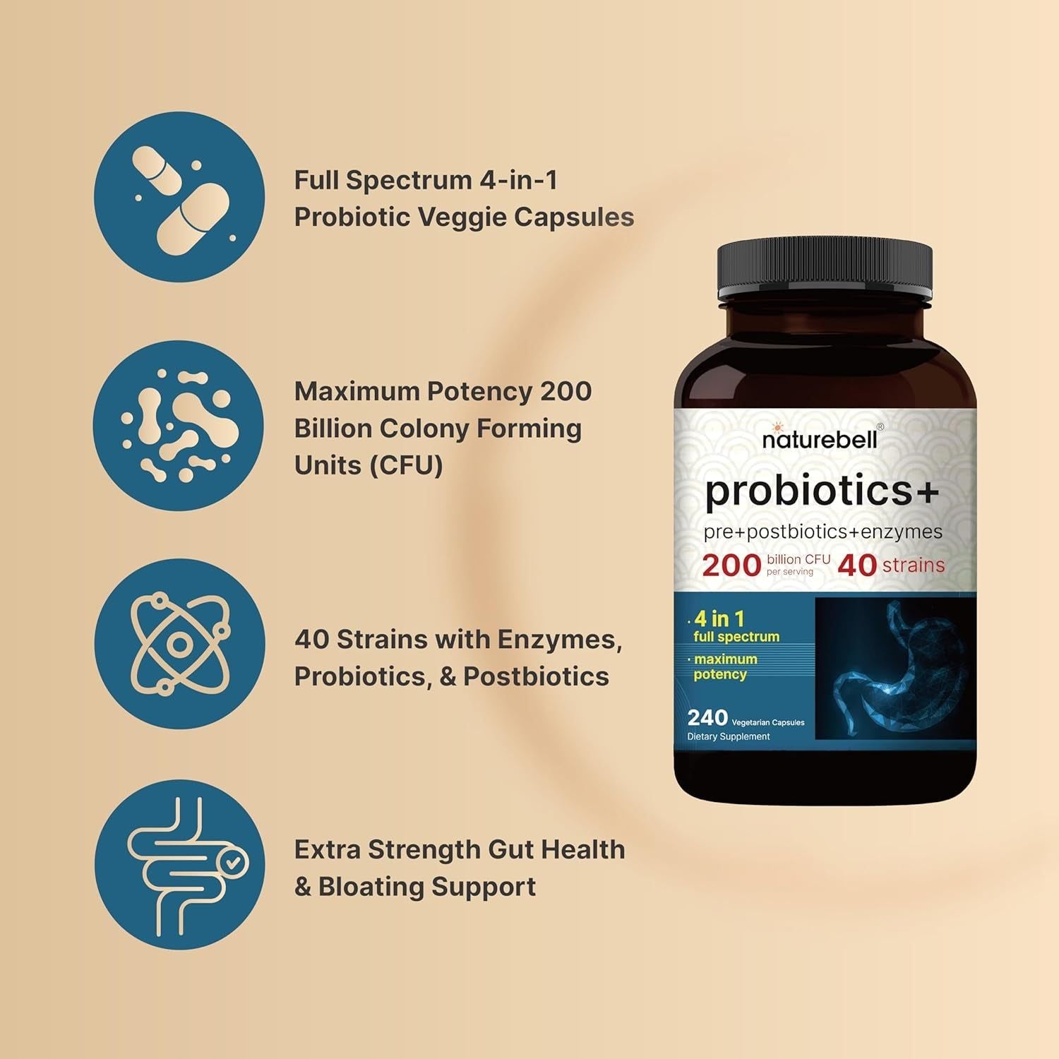 NatureBell Probiotics + Pre + Postbiotics + Enzymes – 240 Vegetarian Capsules | 5-in-1 Gut & Digestive Support