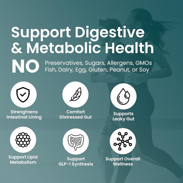 UpNourish Akkermansia Muciniphila – 60 Capsules | Advanced Gut Health & Metabolism Support