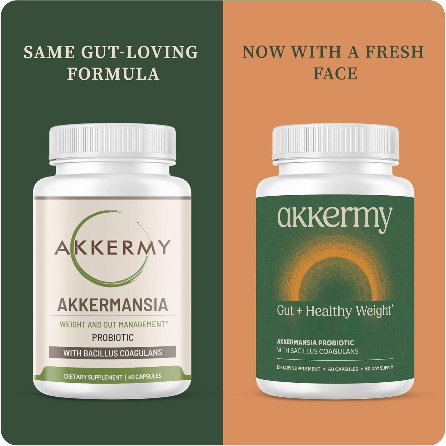 Akkermy Gut + Healthy Weight Akkermansia Probiotic – 60 Capsules, 60 Day Supply | Appetite Control & Healthy Weight Support