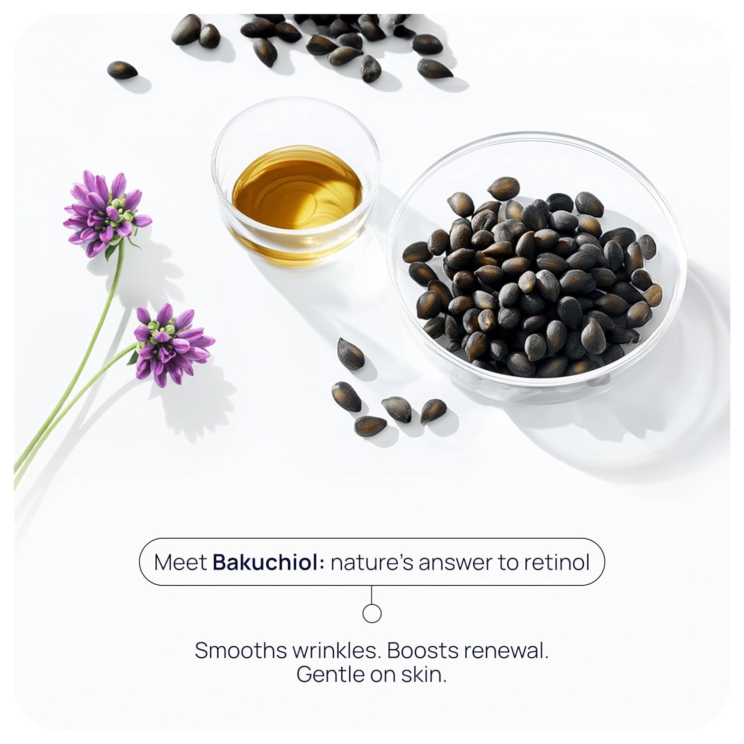 Organic Bakuchiol Plumping Serum - Bakuchiol for Face Skin and Wrinkles - Cellular Restore Serum - with Jojoba Oil, Sea Buckthorn, Camu Camu, Babchi, Maple Leaf Extracts & More - 1 Fl Oz