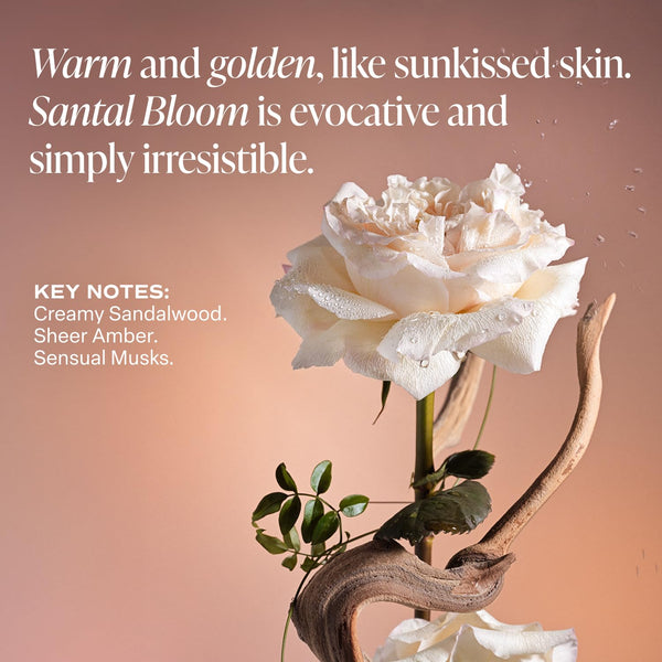 Saltair Santal Bloom Deodorant – 2 Pack | 24-Hour Aluminum-Free Odor Protection