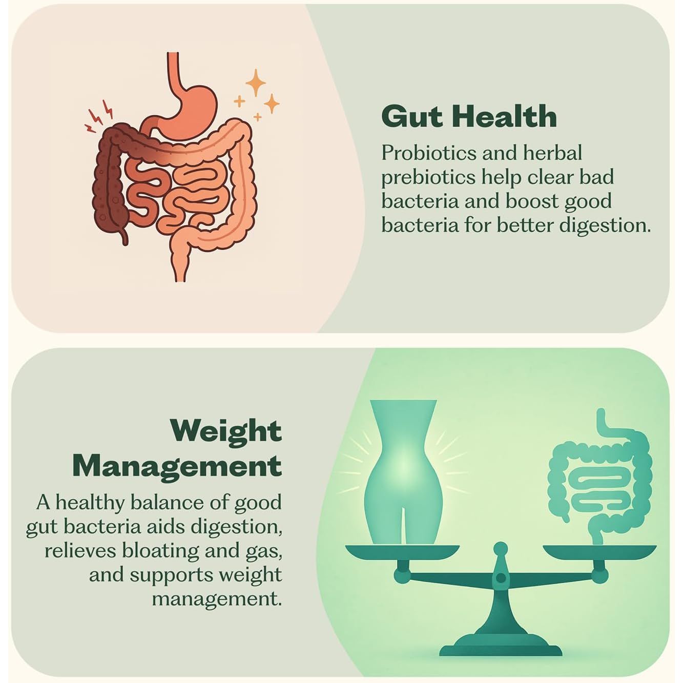 Nature M.D. Synbiotic 365 – 30 Capsules | Gut Health, Immunity & Weight Management Support