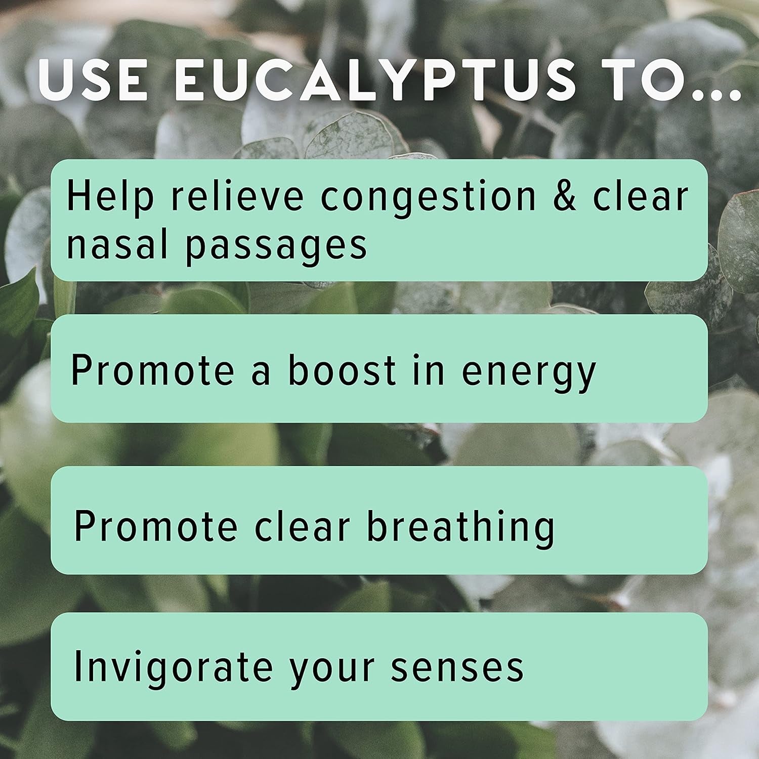 MOXE Eucalyptus 100% Pure Essential Oils – 3 Vapor Sticks | Mess-Free Aromatherapy for Sinus Relief & Refreshment