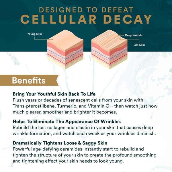 Vitalifi Reactivate Beautiful, Youthful Skin – 30 Capsules | Collagen-Boosting Anti-Ageing Supplement