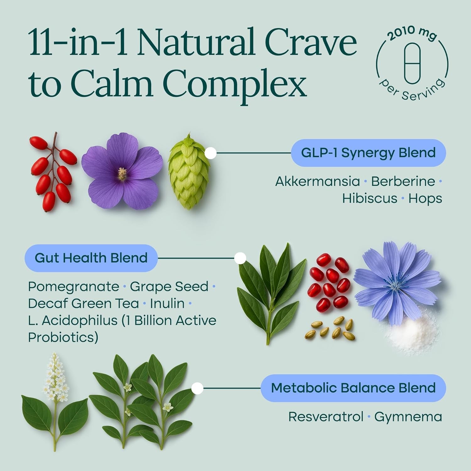 GLP-1 Supplement for Weight Loss & Appetite Control for Men and Women with Akkermansia, Berberine, Inulin, EGCG, Resveratrol, Hops - Supports Digestion, Cravings | 7-Keto Nutritional Supplement