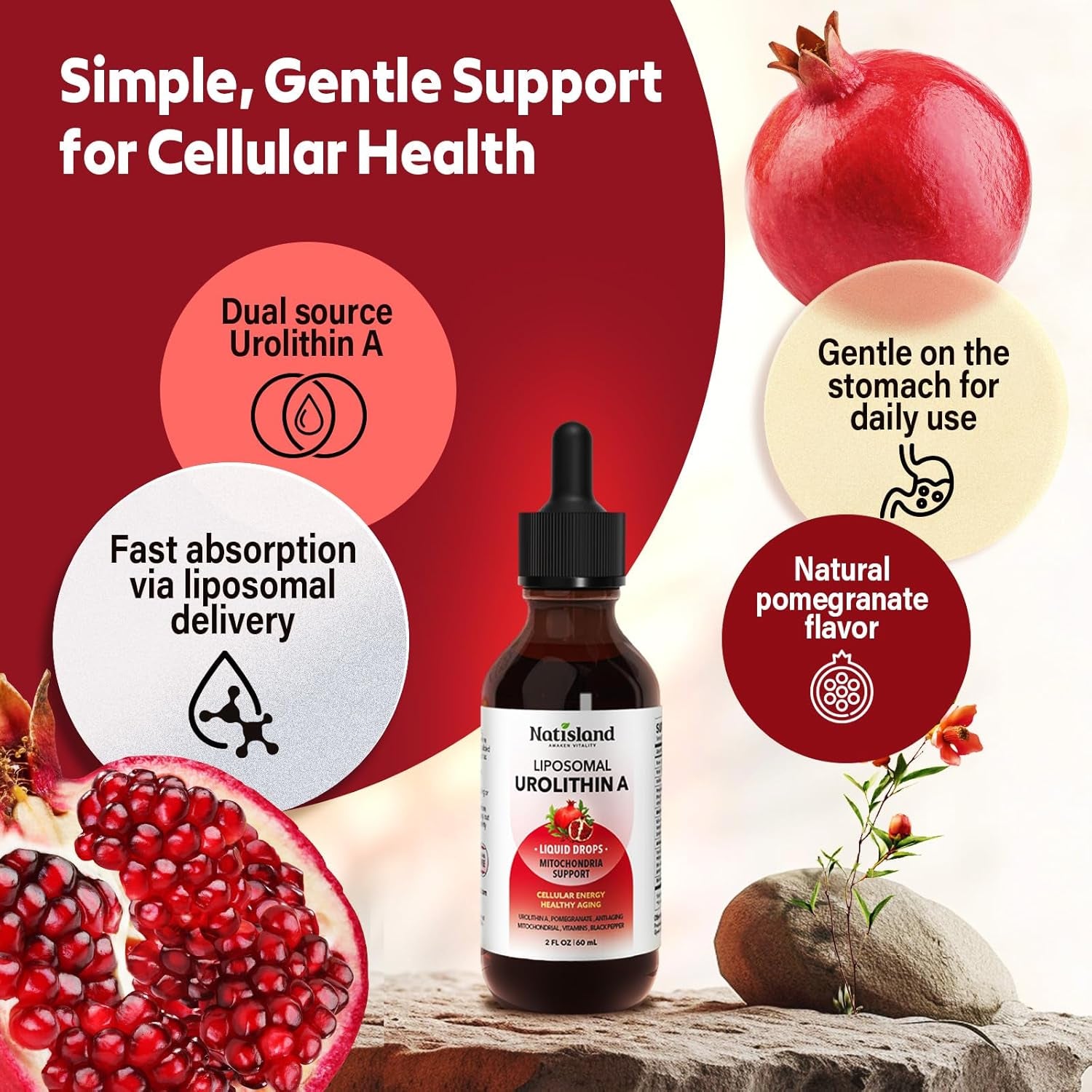NATISLAND Liposomal Urolithin A Liquid Drops - 60ml