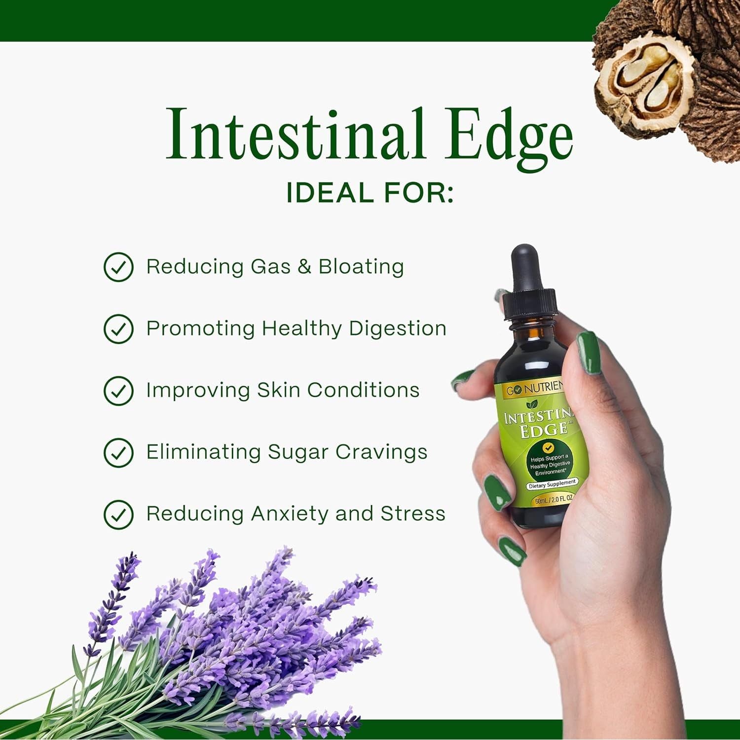 Go Nutrients 7-In-1 Intestinal Edge – 60ml | Herbal Gut & Parasite Cleanse with Wormwood, Clove & Black Walnut