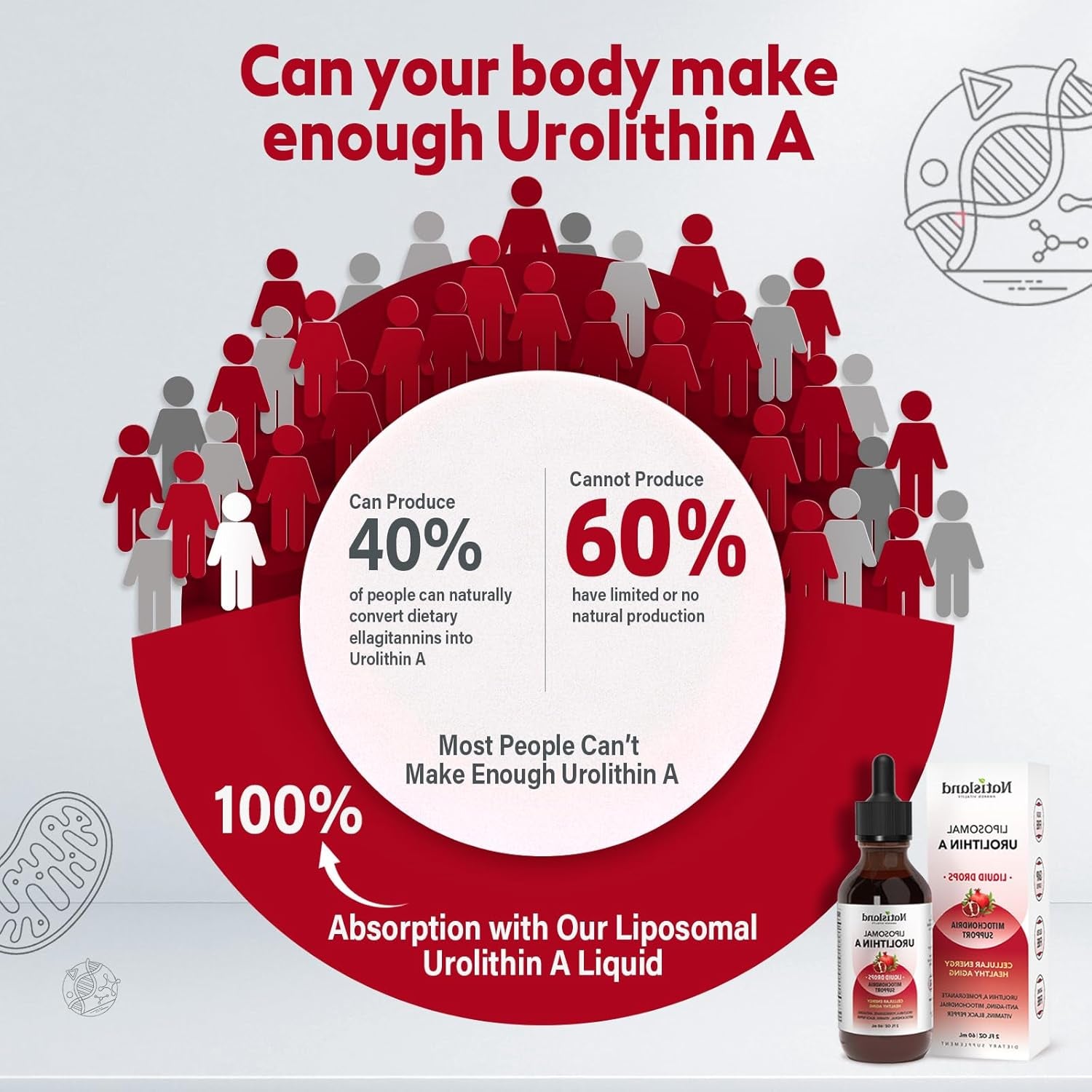 NATISLAND Liposomal Urolithin A Liquid Drops - 60ml