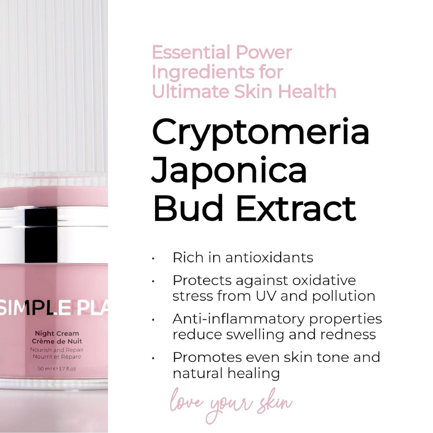 Night Cream – Restorative Hydrating Face Cream with Ceramides & Hyaluronic Acid | Anti-Aging Night Moisturizer for Face | Nourishing Facial Moisturizer for Women & Men – 50Ml