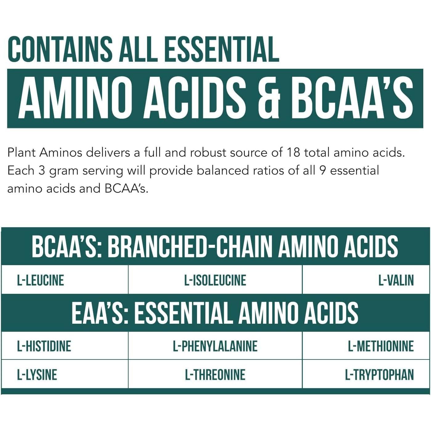 Triquetra Health Plant Aminos – 360 Tablets | 100% Organic Plant-Based Essential Amino Acids for Muscle Recovery, Energy & Performance