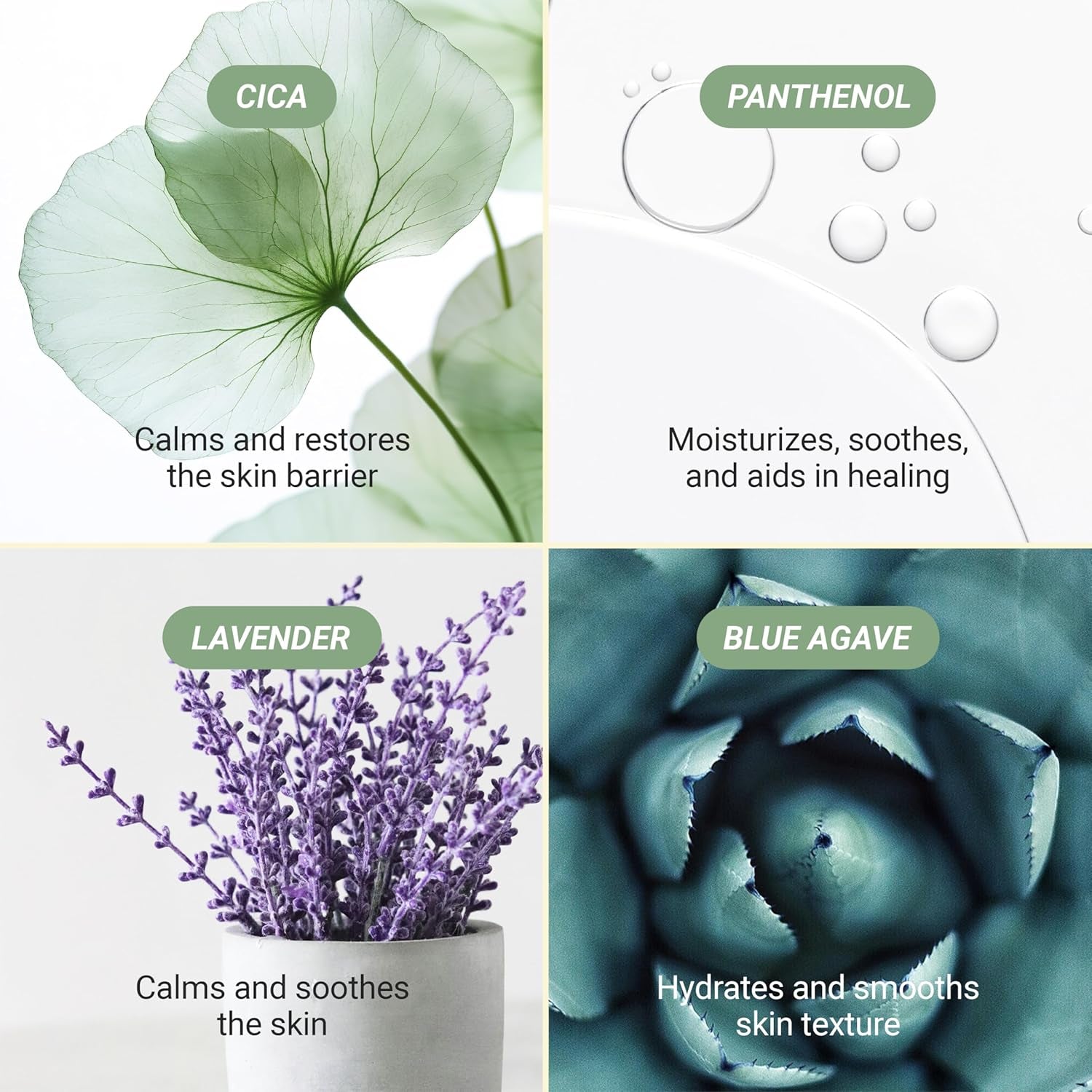 Meebak Cica Cleansing Water Pads – 80 Pads | Gentle Exfoliation & Soothing Makeup Remover