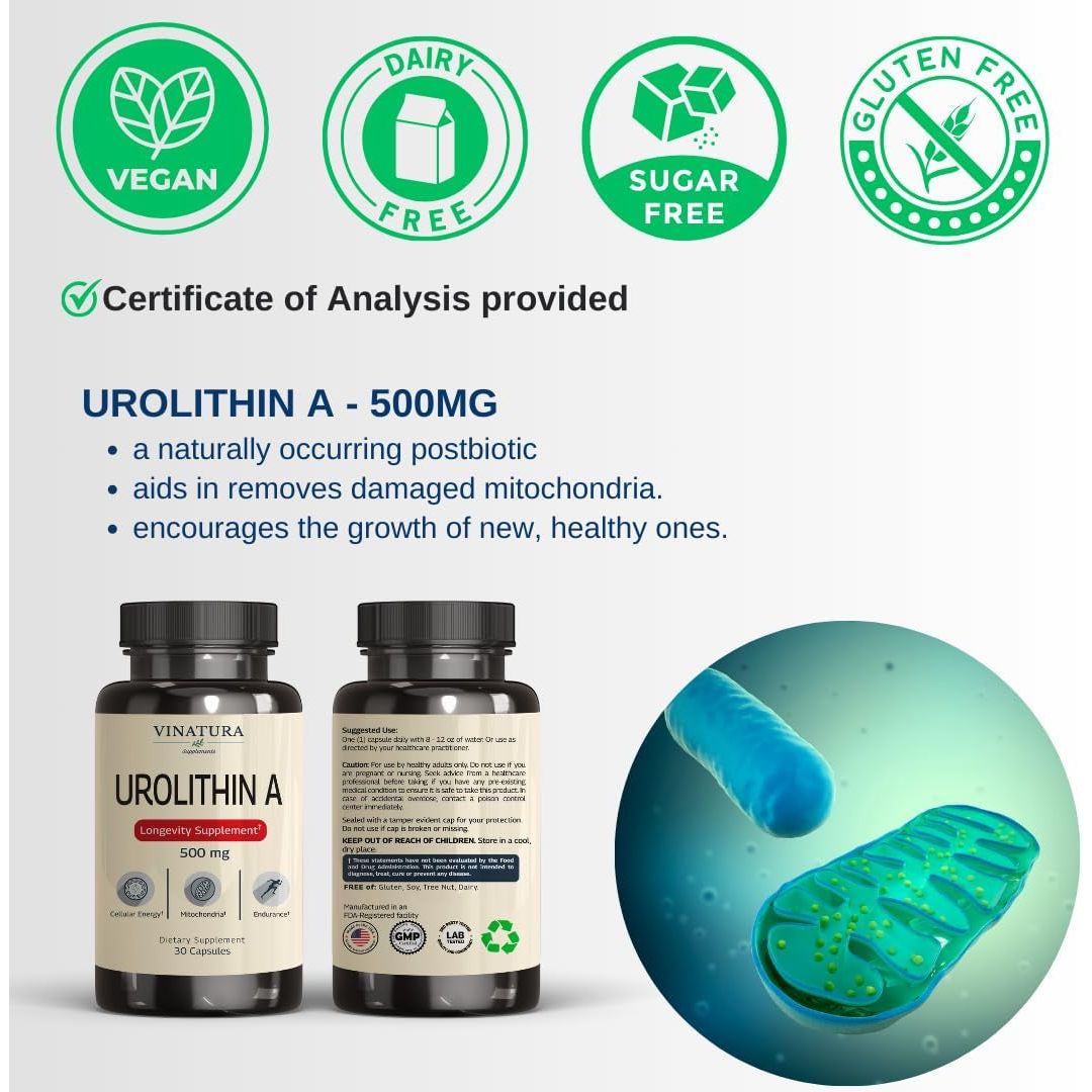 VINATURA Urolithin A+ – 500mg, 30 Capsules | Mitochondrial Health & Anti-Aging Cellular Energy Support